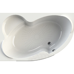 Акриловая ванна Radomir Vannesa Ирма 170х110 левая, с каркасом (2-01-0-1-1-217)