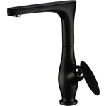 Смеситель для кухни Kaiser Star черный (02044-2)