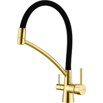 Смеситель для кухни Paulmark Siegen с гибким изливом, золото (Si213111-G)