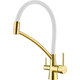 Смеситель для кухни Paulmark Siegen с гибким изливом, золото (Si213111-Gw)