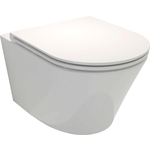 Унитаз подвесной (чаша) Jacob Delafon Rodin+ безободковый, без сиденья (EDY102-00)