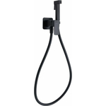 Гигиенический душ Allen Brau Infinity с гигиенической лейкой, черный матовый (5.21005-31)