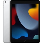 Планшет Apple iPad 10.2" (2021) Wi-Fi 64Gb A2602 серебристый