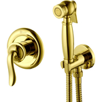 Гигиенический душ Lemark Brava с гигиеническим набором (LM4719G)