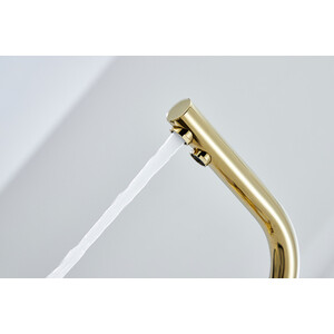 Смеситель для кухни Paulmark Essen с подключением фильтра, золото (Es213011-G)