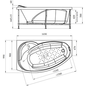 Акриловая ванна Radomir Vannesa София 170х100 правая, с каркасом и панелью (2-01-0-2-1-223, 2-21-0-2-0-223)