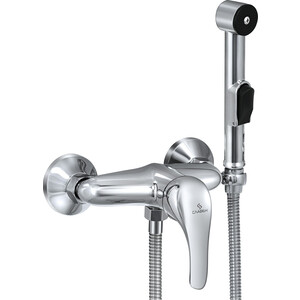 Гигиенический душ Славен Дача с гигиенической лейкой, хром (СЛ-ОД-В41)