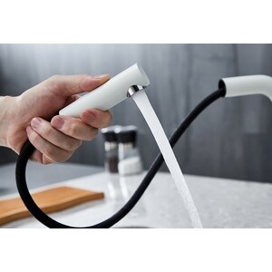 Смеситель для кухни Paulmark Kassel белый матовый (Ka214311-431TW)