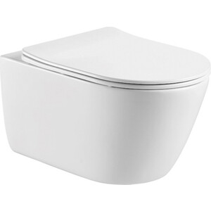 Унитаз подвесной безободковый Aquatek Оберон с сиденьем микролифт (AQ1363W-00)