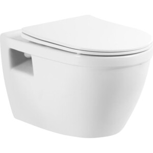 Унитаз подвесной безободковый BelBagno Loto с сиденьем микролифт (BB070CHR/SC)