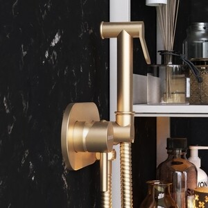 Гигиенический душ Damixa Option с гигиеническим душем, бронза (214000000)