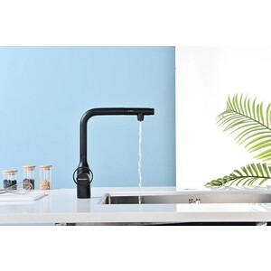 Смеситель для кухни Paulmark Urban с подключением фильтра, антрацит (Ur213104-401)