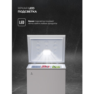 Морозильный ларь Lex LFR170 FFLed