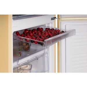 Холодильник NORD NRB 164NF E