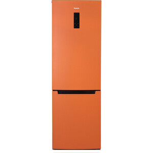 Холодильник Бирюса T960NF