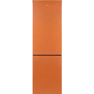 Холодильник Бирюса T6149