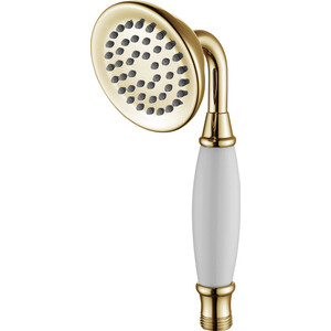 Ручной душ Lemark 1 режим (LM8007G)